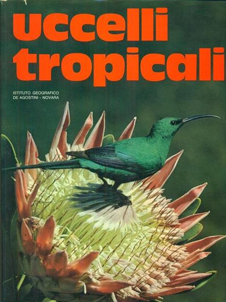 Uccelli tropicali - 3