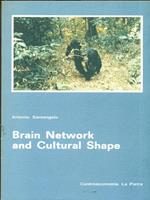 Brain Network and Cultural Shape