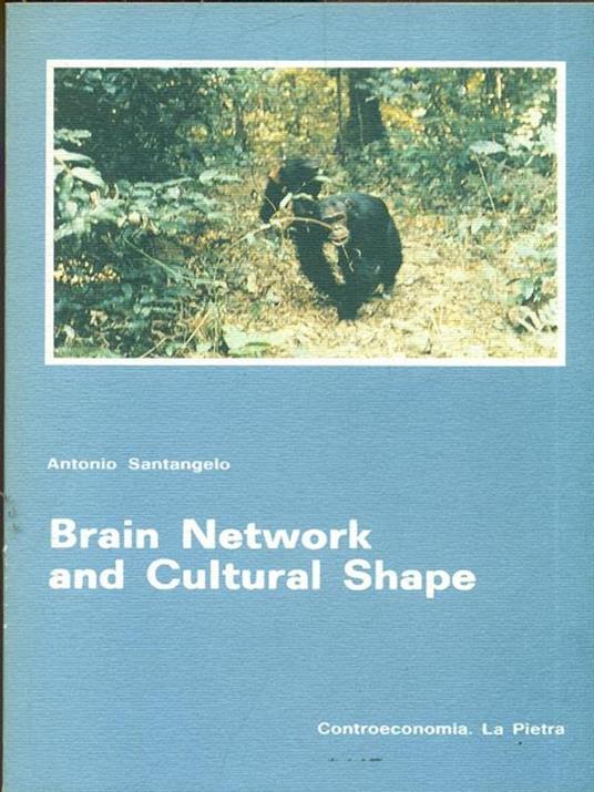 Brain Network and Cultural Shape - Antonio Santangelo - copertina