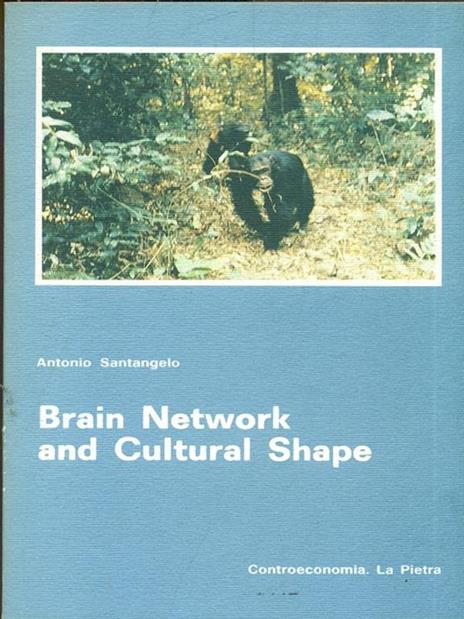 Brain Network and Cultural Shape - Antonio Santangelo - 5