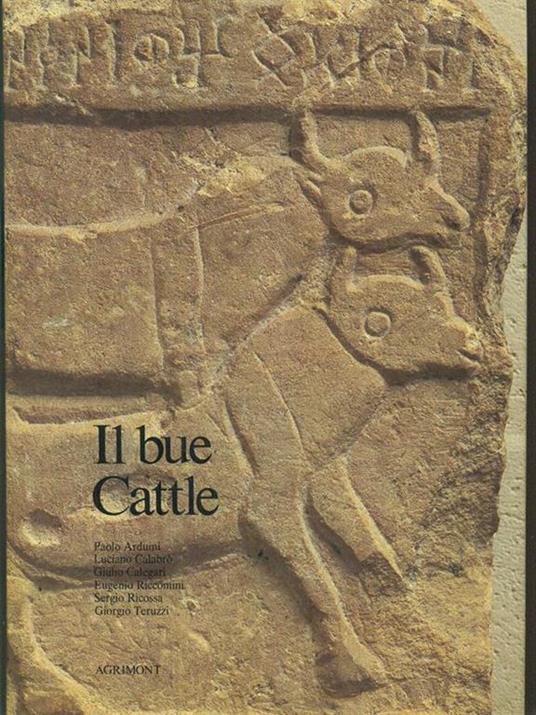 Il bue Cattle - 2