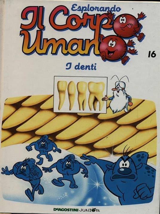 Esplorando il corpo umano 16 I denti - copertina