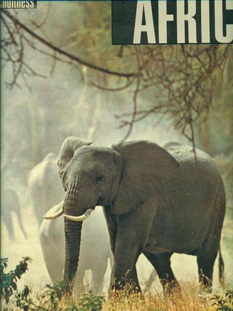 Africa - Emil Schulthess - 3