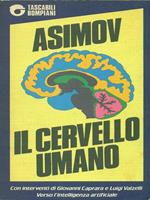 Il  cervello umano