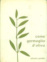 Come germoglio d'olivo