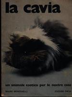 La cavia