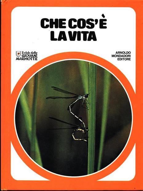 Che cos'é la vita - copertina