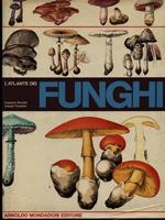 L' atlante dei funghi