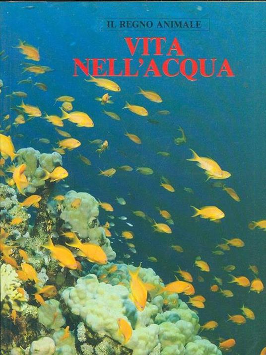 Vita nell'acqua - 8