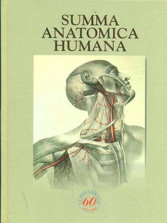 Summa anatomica Humana - Attilio Maseri - 8