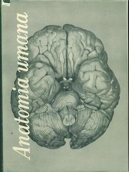 Trattato di anatomia umana II - Angelo Bairati - copertina