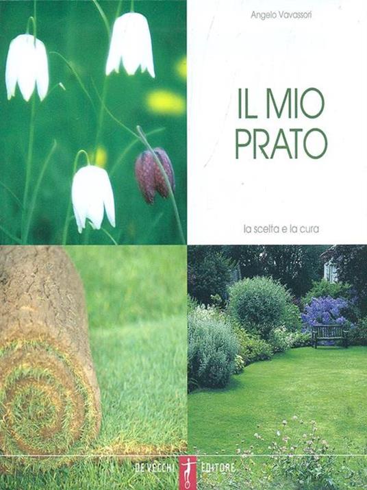 Il mio prato - Angelo Vavassori - 9