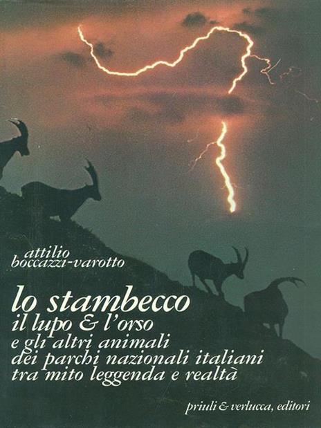 Lo stambecco - Attilio Boccazzi Varotto - 6