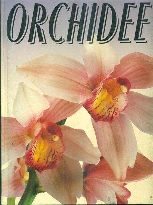 Orchidee - 2