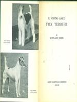 Il nostro amico Fox Terrier