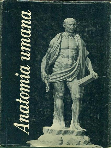 Trattato di Anatomia Umana IV - Angelo Bairati - copertina