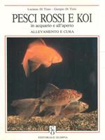 Pesci rossi e koi