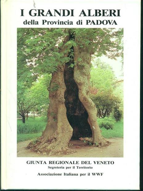 I grandi alberi della provincia di Padova - copertina