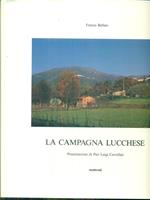 La campagna lucchese
