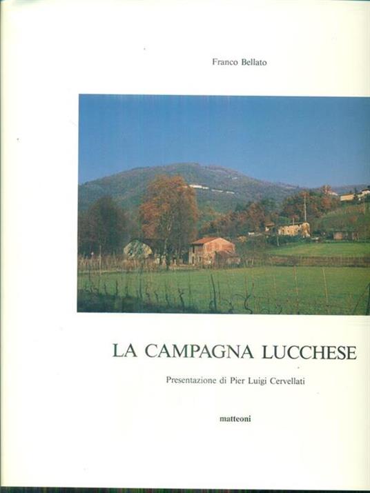 La campagna lucchese - 3