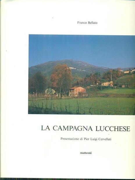 La campagna lucchese - 5
