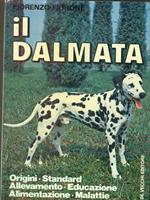 Il dalmata