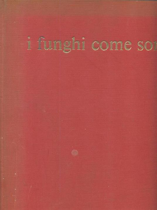 I funghi come sono - Severino Viola - 4