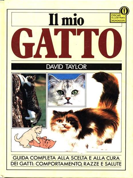 Il mio Gatto - David Taylor - 2