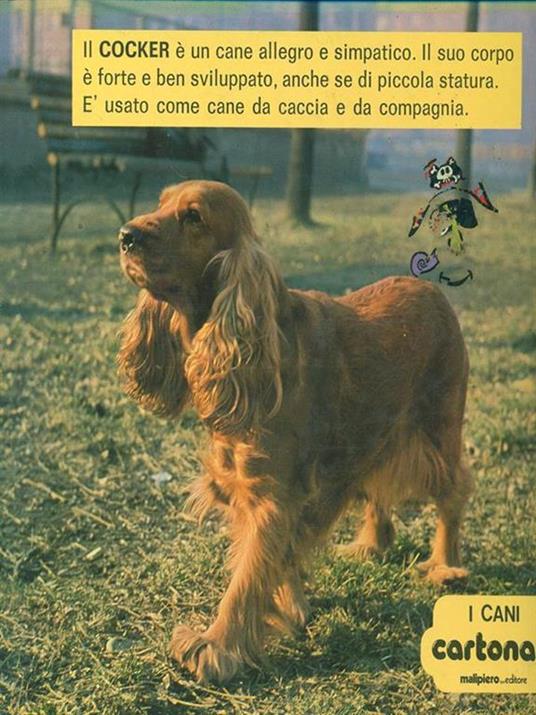 I cani cartonati - 7