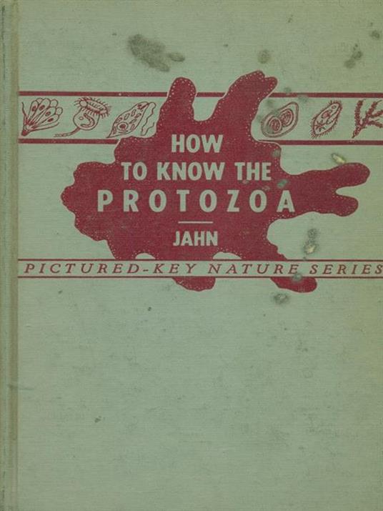 How to wkon the protozoa - 8