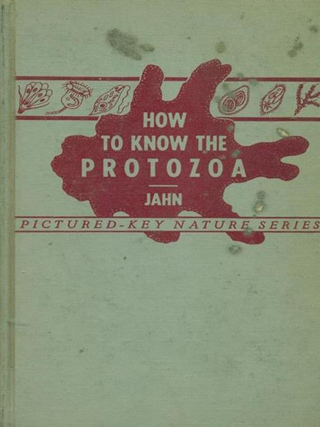 How to wkon the protozoa - 2