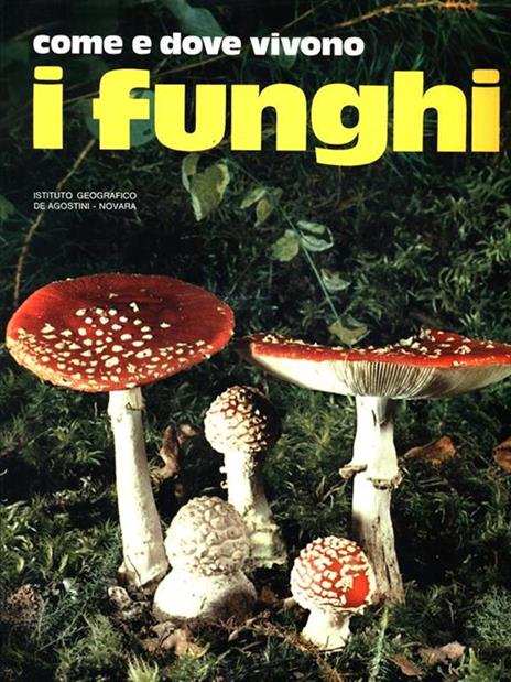 Meraviglie della natura: i Funghi - Uberto Tosco - 5
