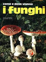 Meraviglie della natura: i Funghi