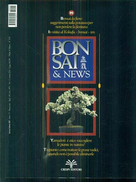 Bonsai & News gennaio-febbraio 2007 - 9