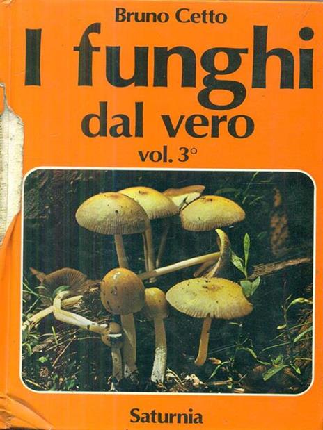 I funghi dal VERO. Vol. 3 - Bruno Cetto - 4
