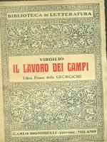 Il lavoro dei campi