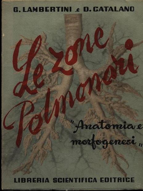 Le zone polmonari - copertina