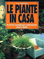 Le piante in casa