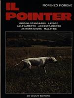 Il pointer