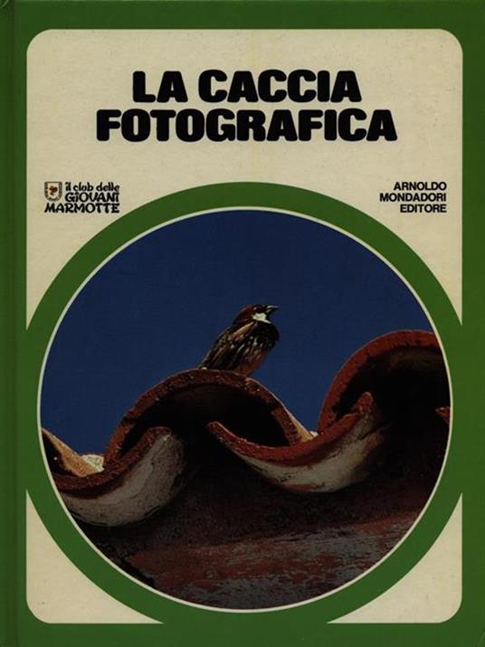 La caccia fotografica - 3