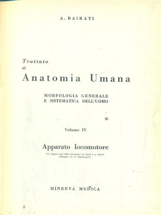 Trattato di anatomia umana vol IV - Angelo Bairati - 2