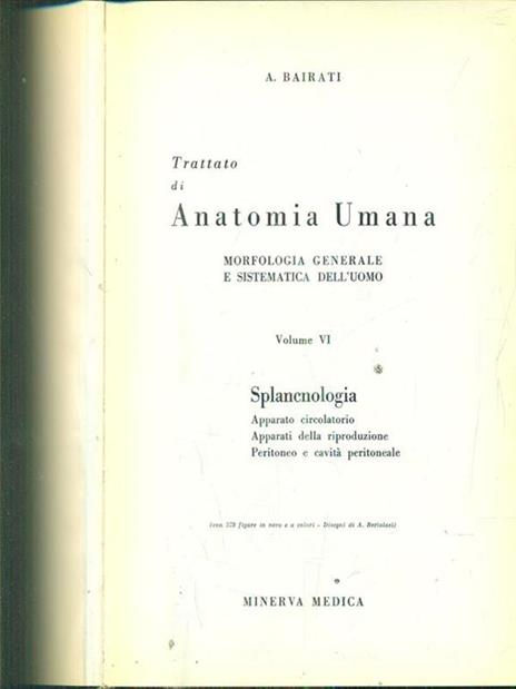 Trattato di anatomia umana vol VI - Angelo Bairati - copertina