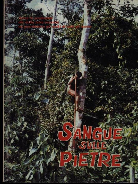 Sangue sulle pietre - E. Krautler - copertina