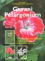 Gerani Pelargonium. Ediz. illustrata