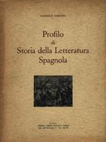 Profilo di Storia della Letteratura Spagnola