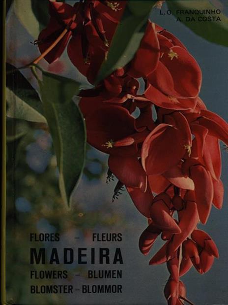 Madeira - 2