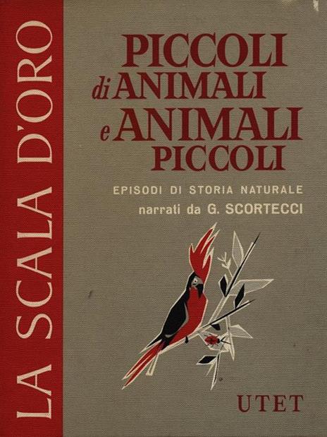 Piccoli di animali e animali piccoli - Giuseppe Scortecci - copertina