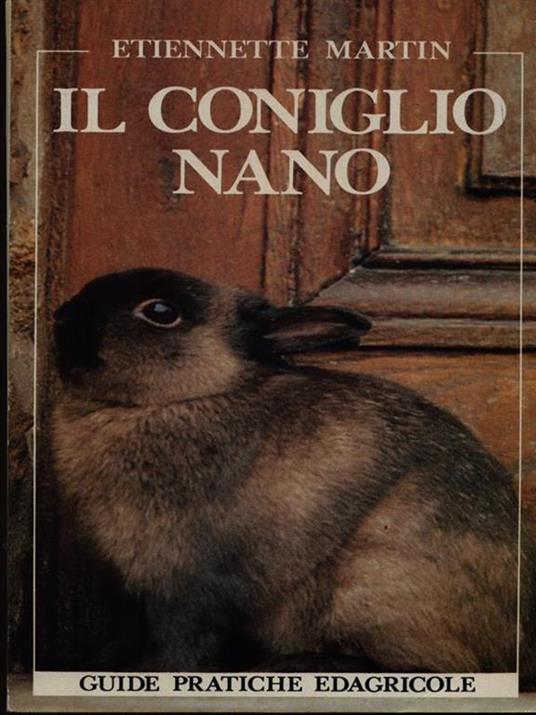 Il coniglio nano - Etienne Martin - copertina