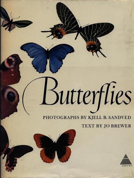 Butterflies - 4