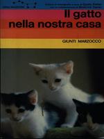 Il gatto nella nostra casa